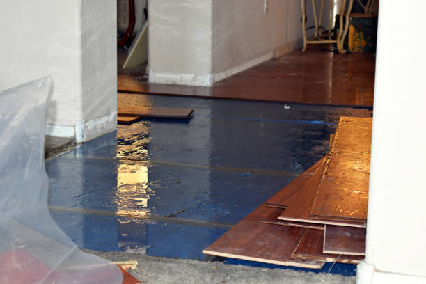 Professional Basement Flood Cleanup technician working in Long Island, ME